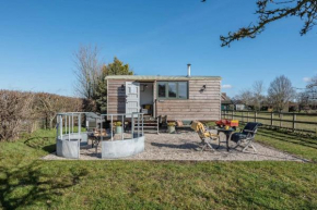 Lily Pad, Friston